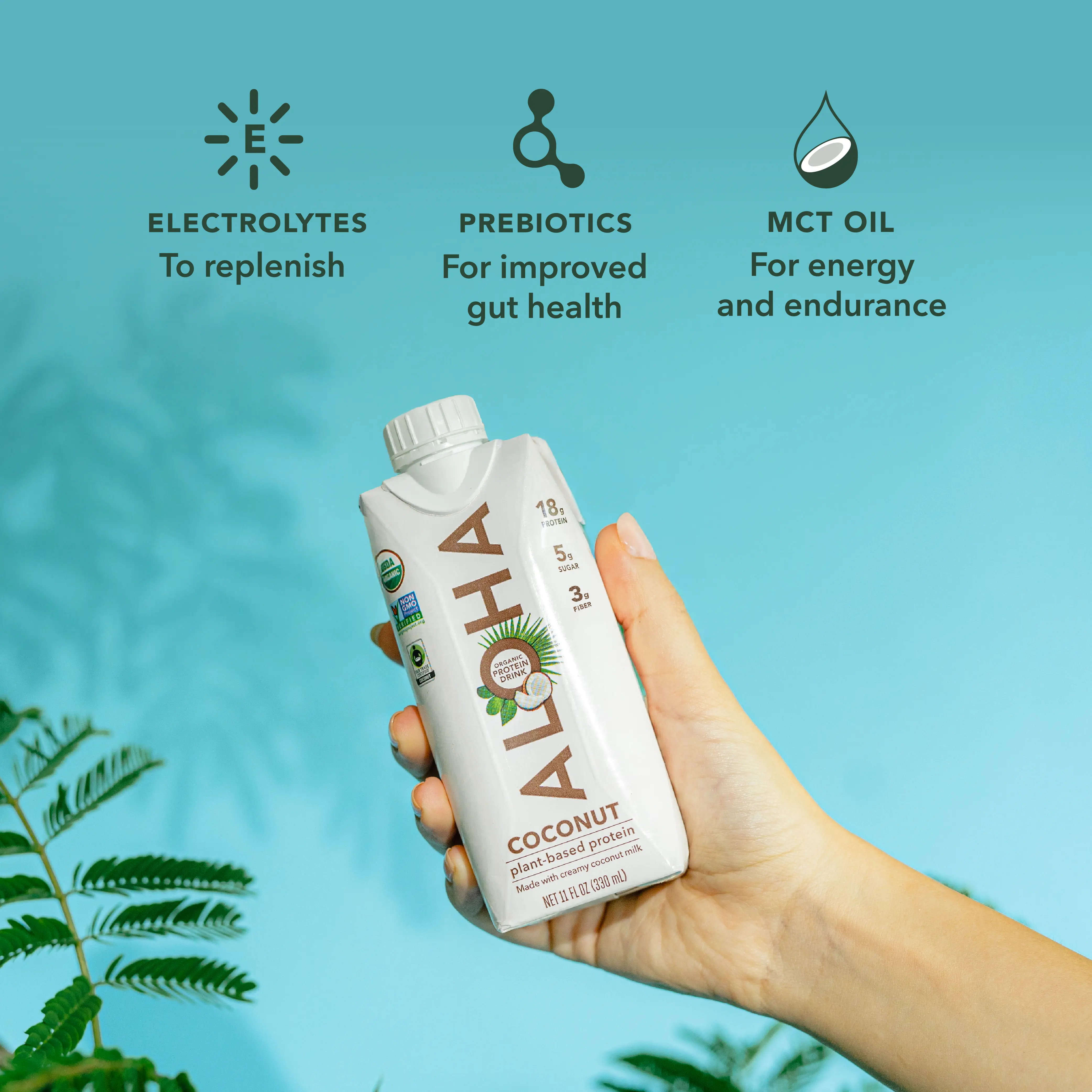 Coconut - Protein Drinks - Image 5