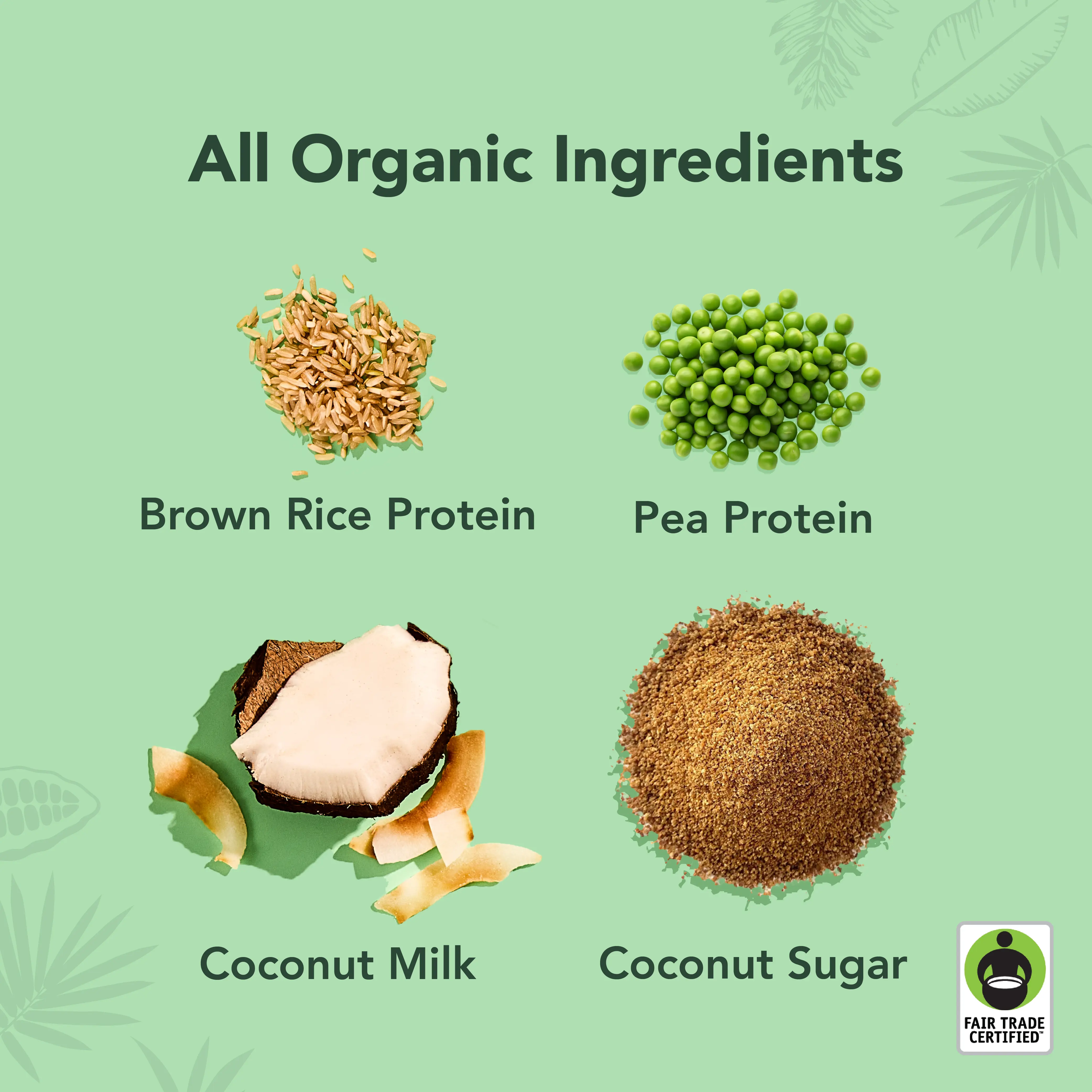 Coconut - Protein Drinks - Image 4