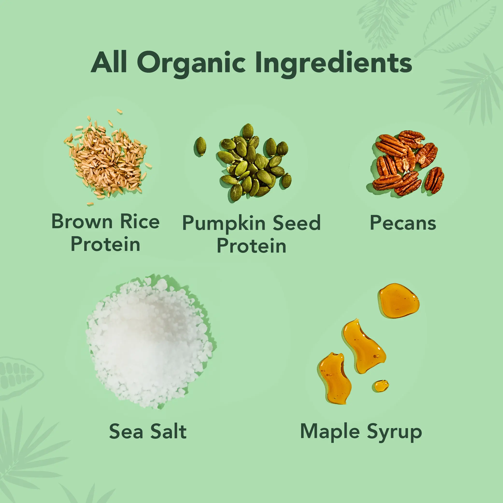 Maple Sea Salt - Protein Bars - Image 4