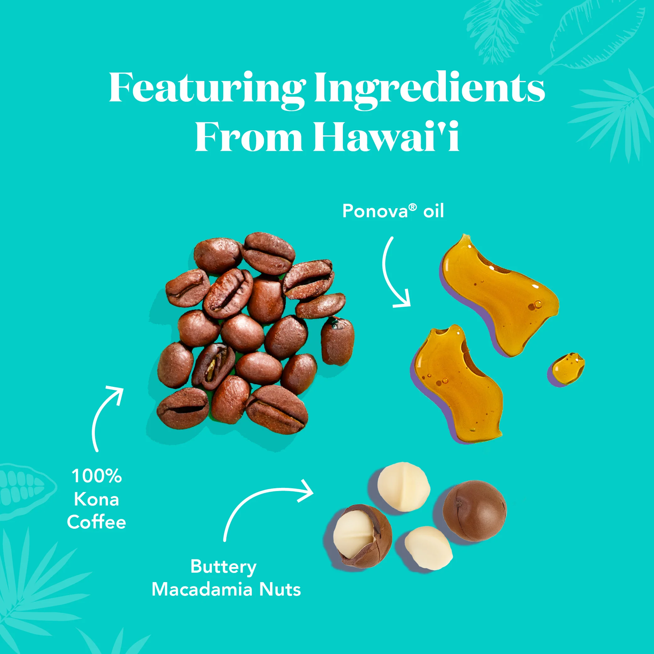 The Kona Bar - Protein Bars - Image 4