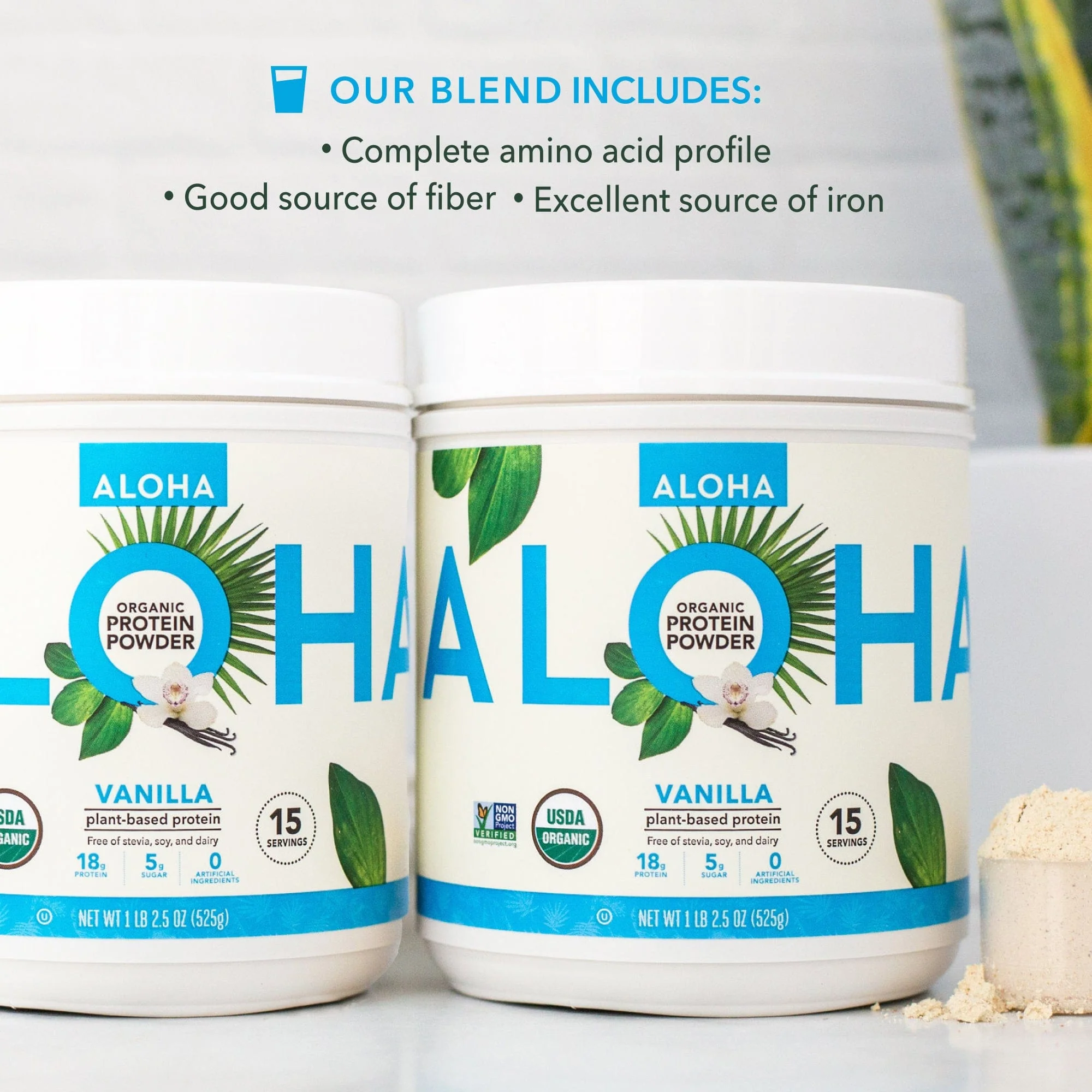 Two Canisters of Vanilla Protein Powder - Image 4